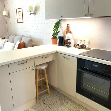 Suur-posti 22 Garden Appartamento Pärnu